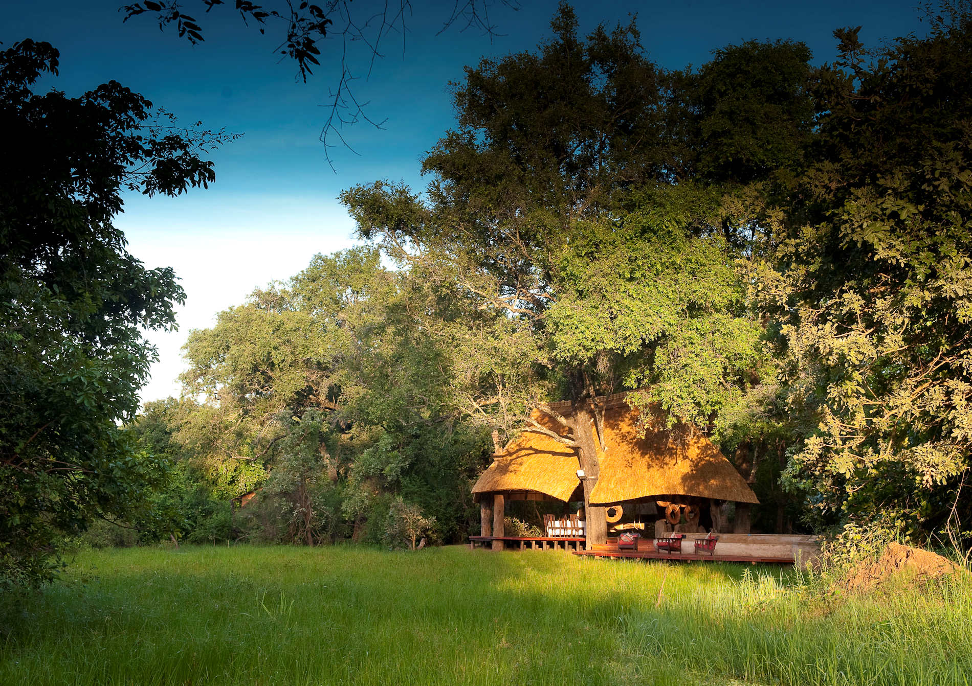 S Luangwa 2014 07 66e (1)