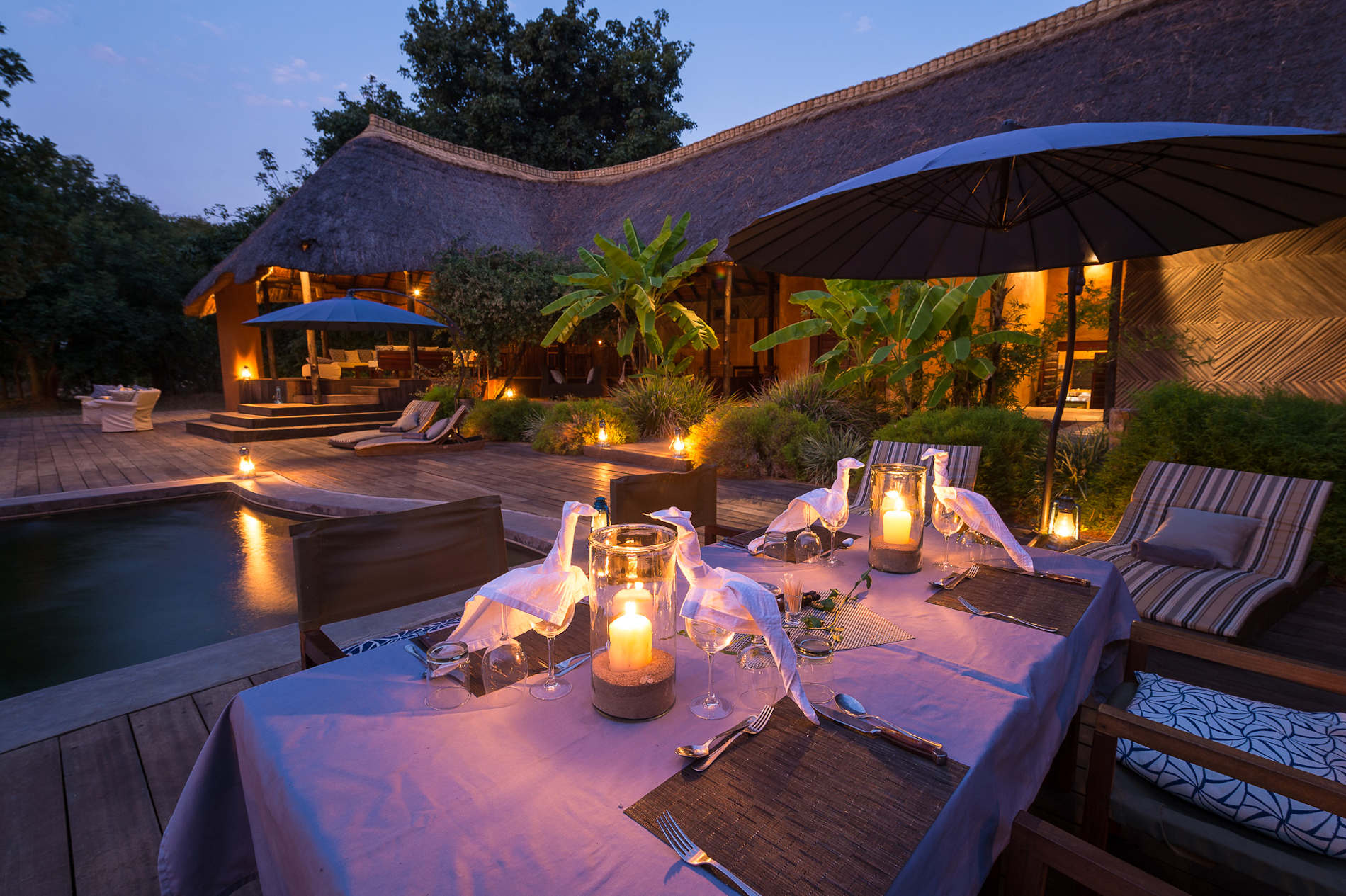S Luangwa 2014 07 82e