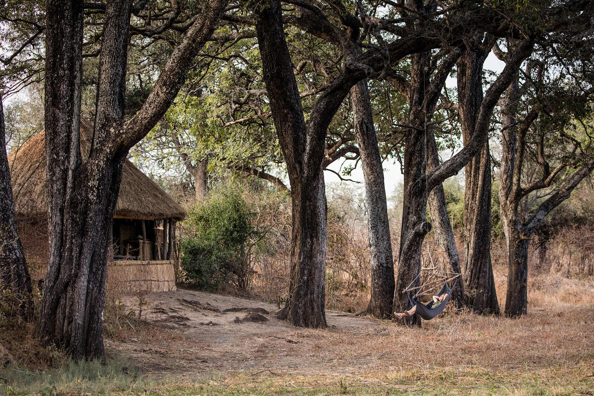 Crocodile Camp Ralaxing In The Hammock