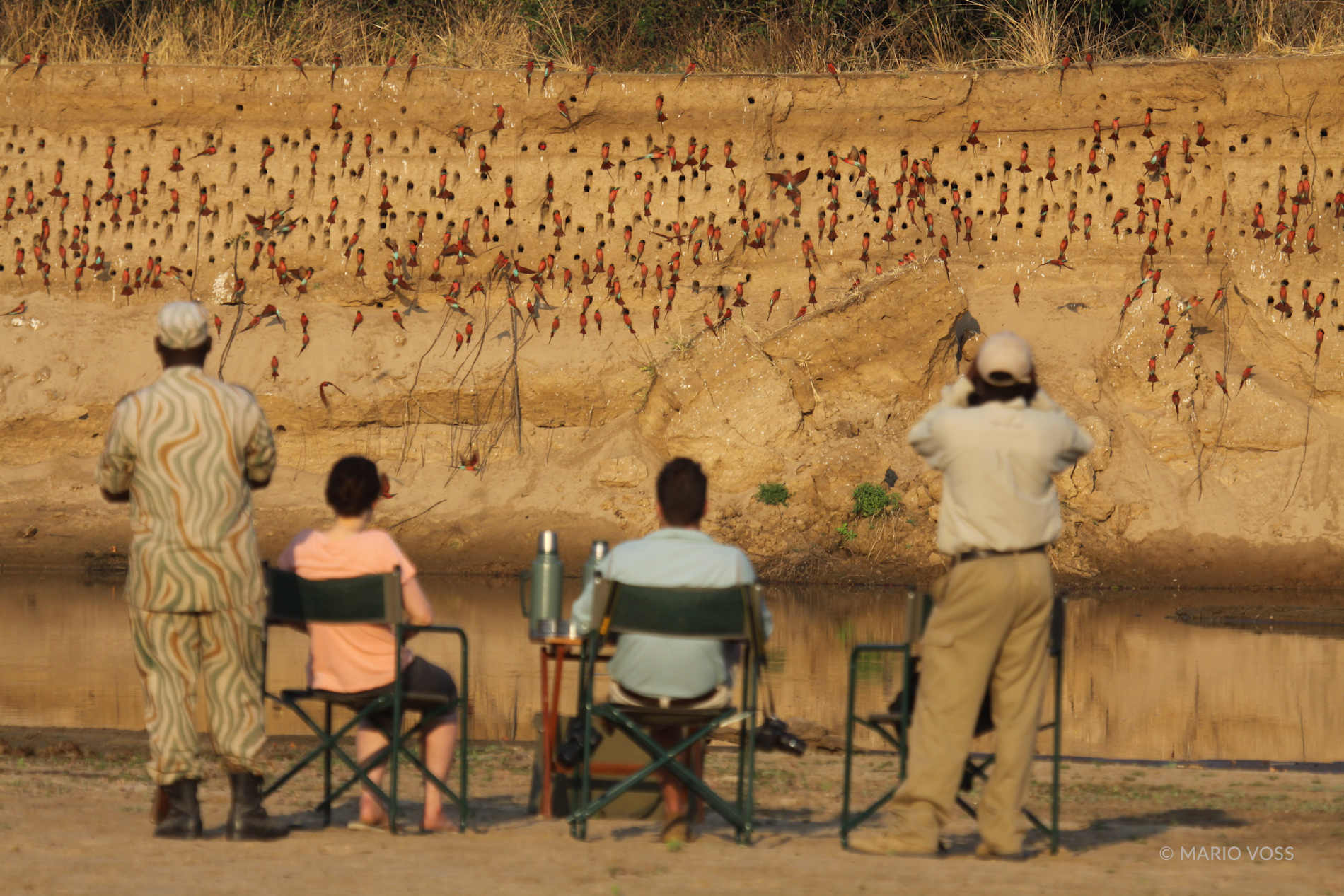 Luambe Camp South Luangwa (17)